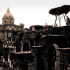 Forum romanum...