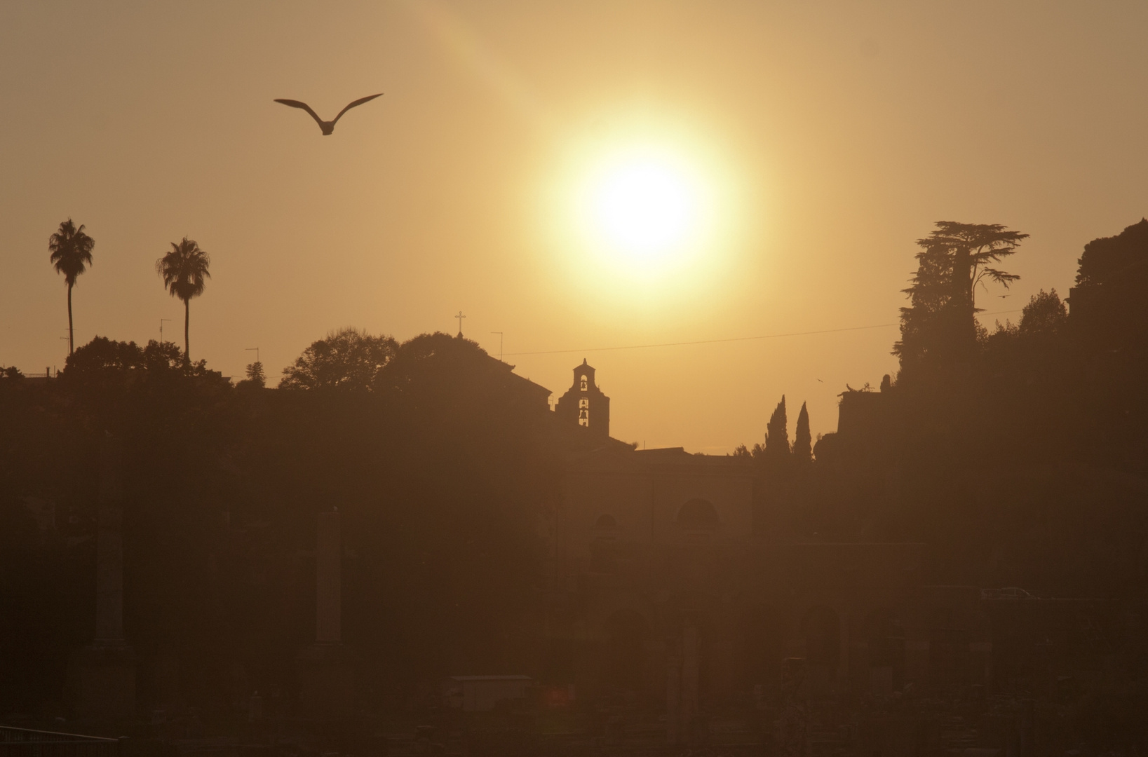 Forum Romanum