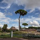 Forum Romanum