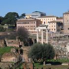 Forum Romanum II