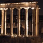 Forum Romanum Säulen