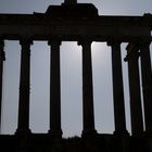 Forum Romanum SATURNTEMPEL