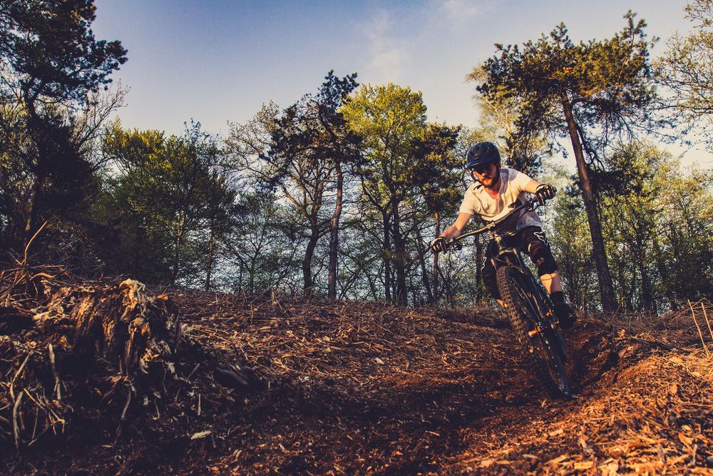 Forward Foto & Bild | sport, radsportarten, mtb Bilder auf fotocommunity