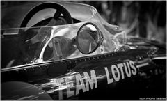 FoS 2015 / Lotus Cosworth 49 III