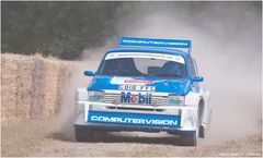 FoS 2015 / MG Metro 6R4