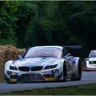   FoS 2016 / BMW Z4 GT3 - ALessandro Zanardi