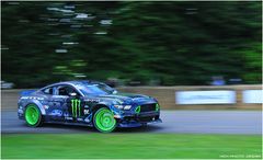  FoS 2016 / Ford Mustang RTR