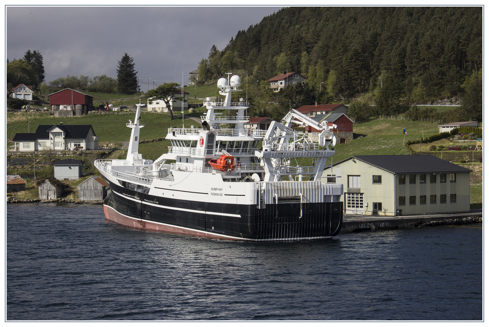 Fosnavåg HERÖYHAV - IMO 9657210 - Fishing Ship.