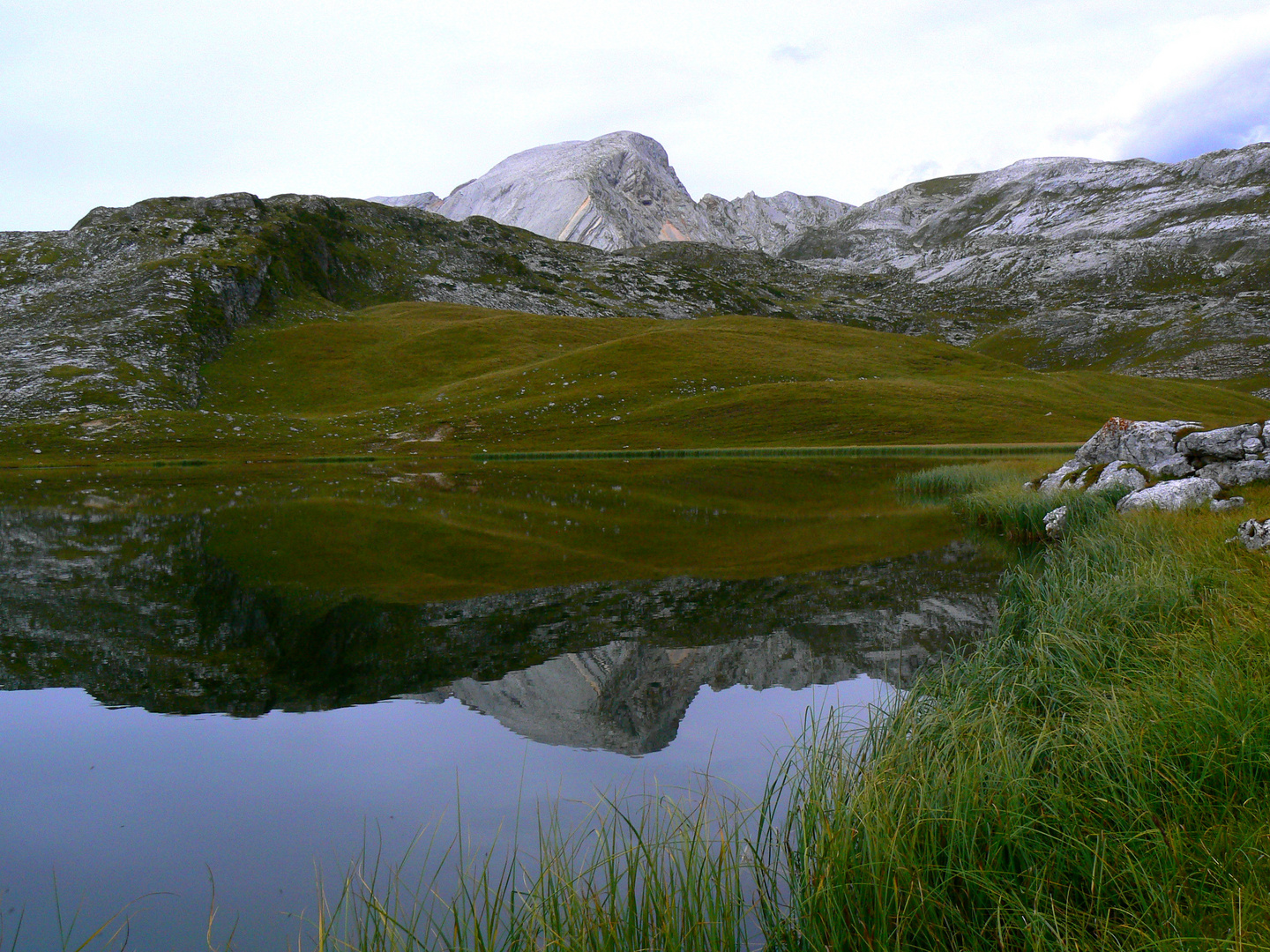 Fossessee