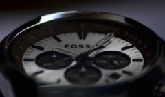 Fossil