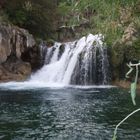 Fossil Creek