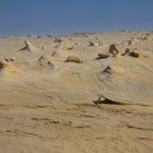 Fossil Dunes 2