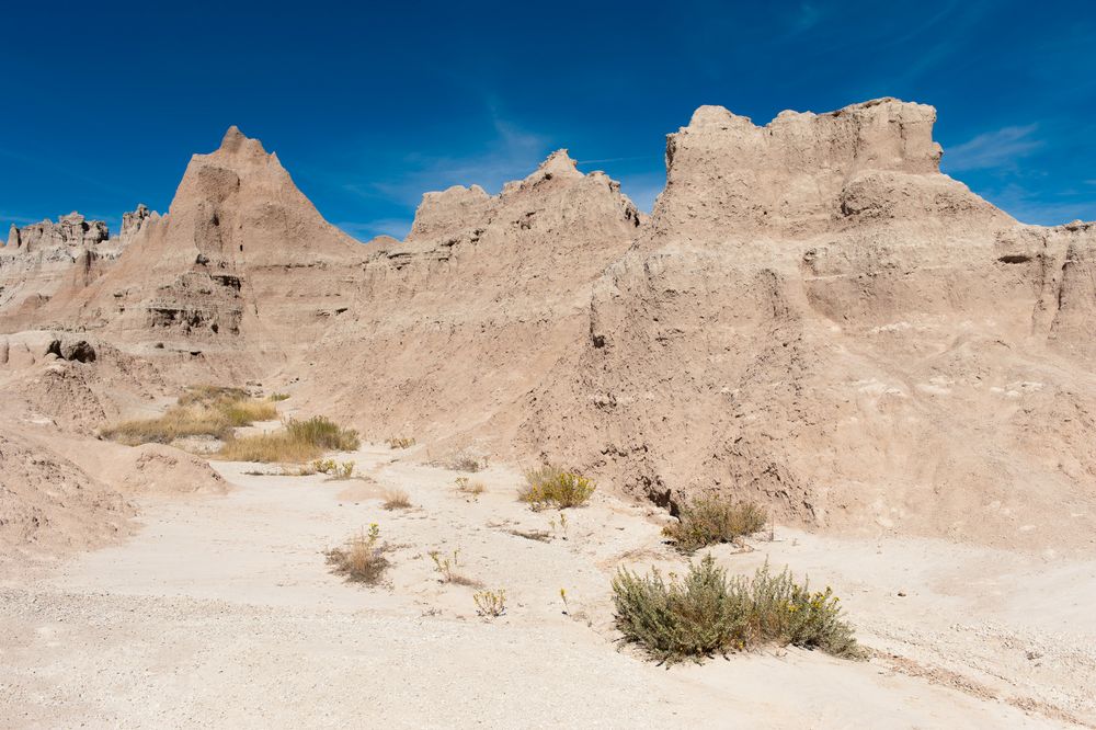 Fossil Exhibit Trail