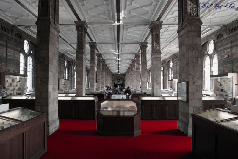 Fossil Hall in Museum of natural History, London, UK