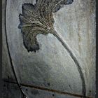 Fossile Seelilie aus dem deutschen Jura.
