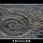 FOSSILIEN...