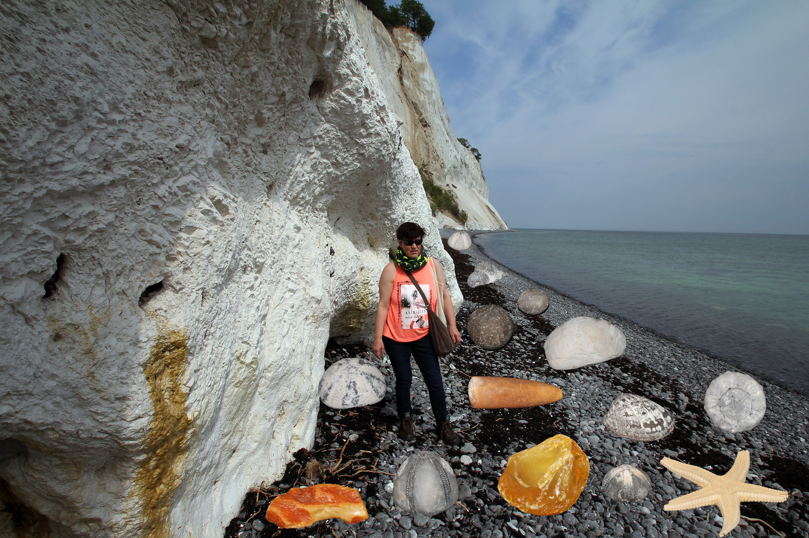 Fossilien von Möns Klint..