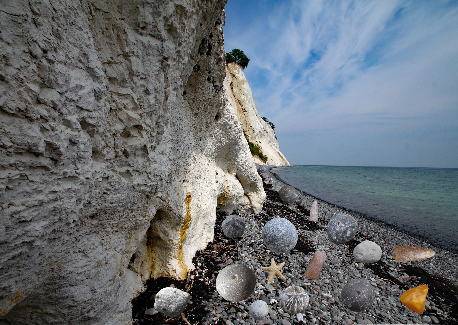 Fossilien von Möns Klint