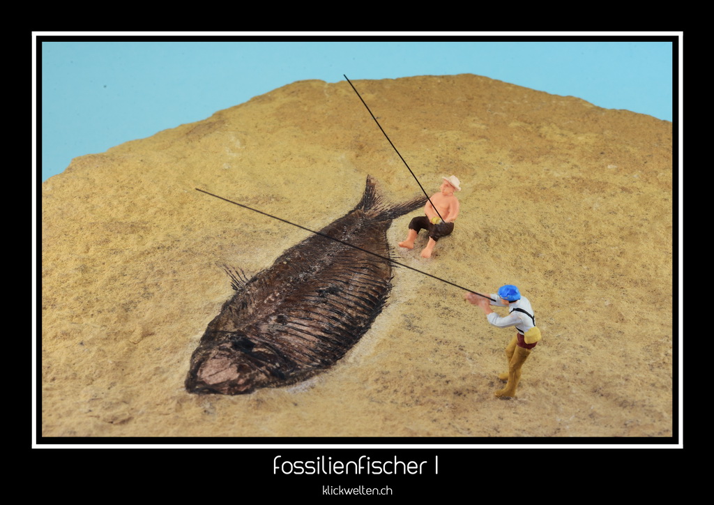 fossilienfischer I