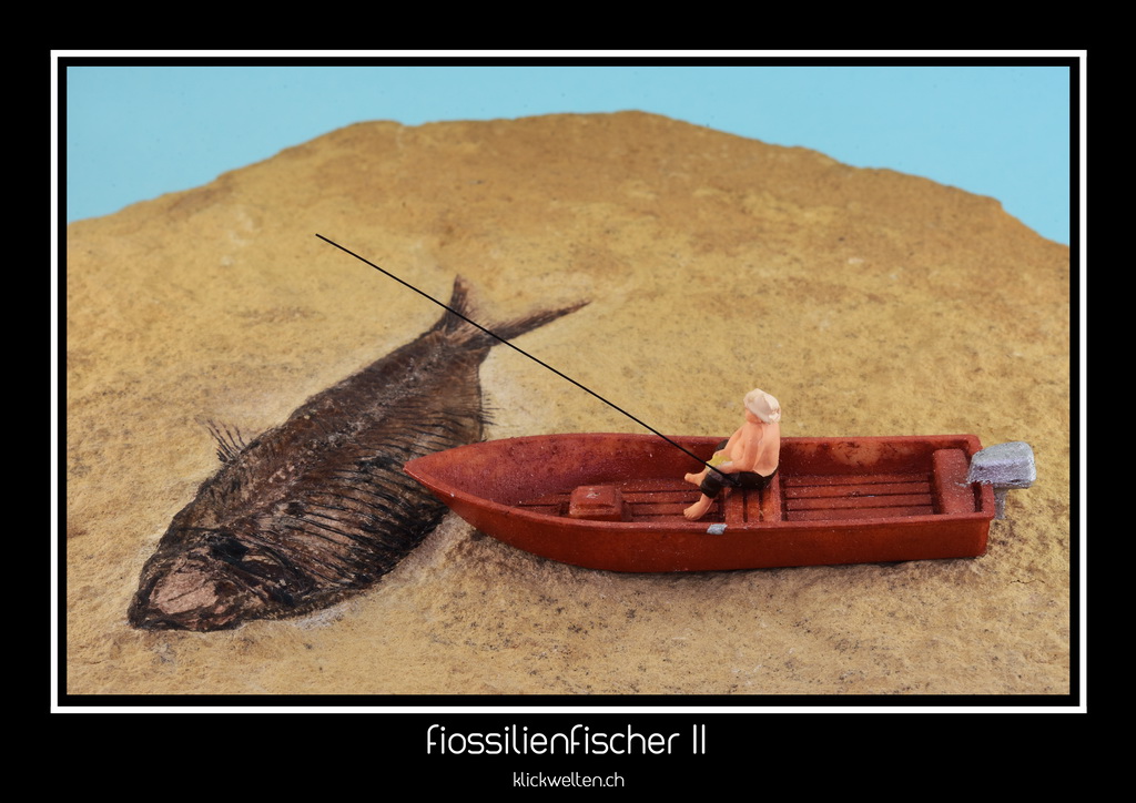 fossilienfischer II