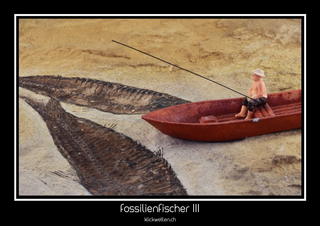 fossilienfischer III