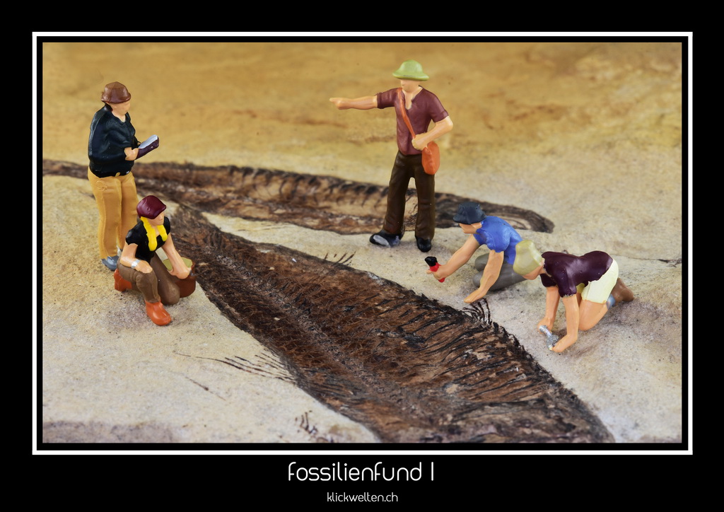 fossilienfund I