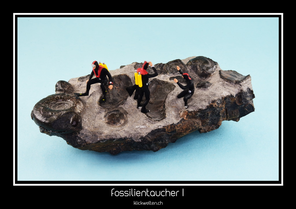 fossilientaucher I