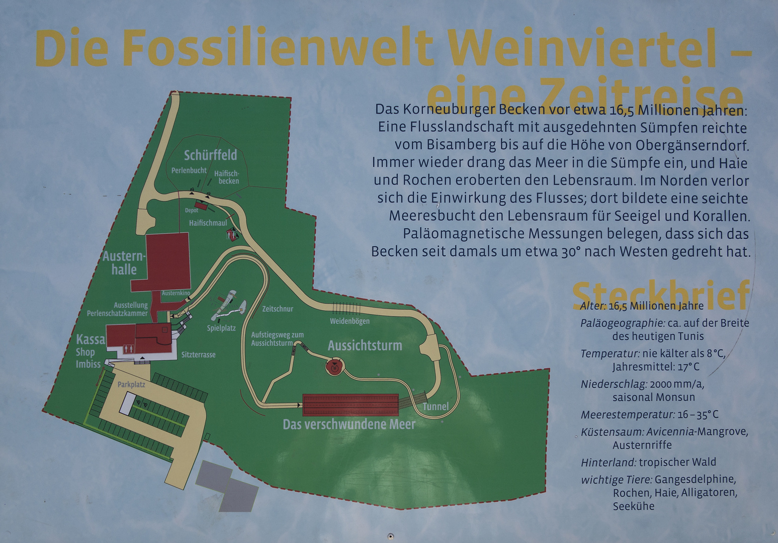 Fossilienwelt Weinviertel