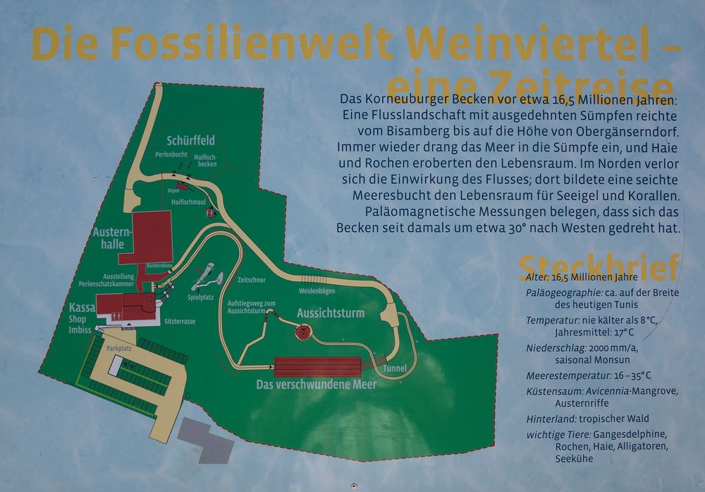 Fossilienwelt Weinviertel