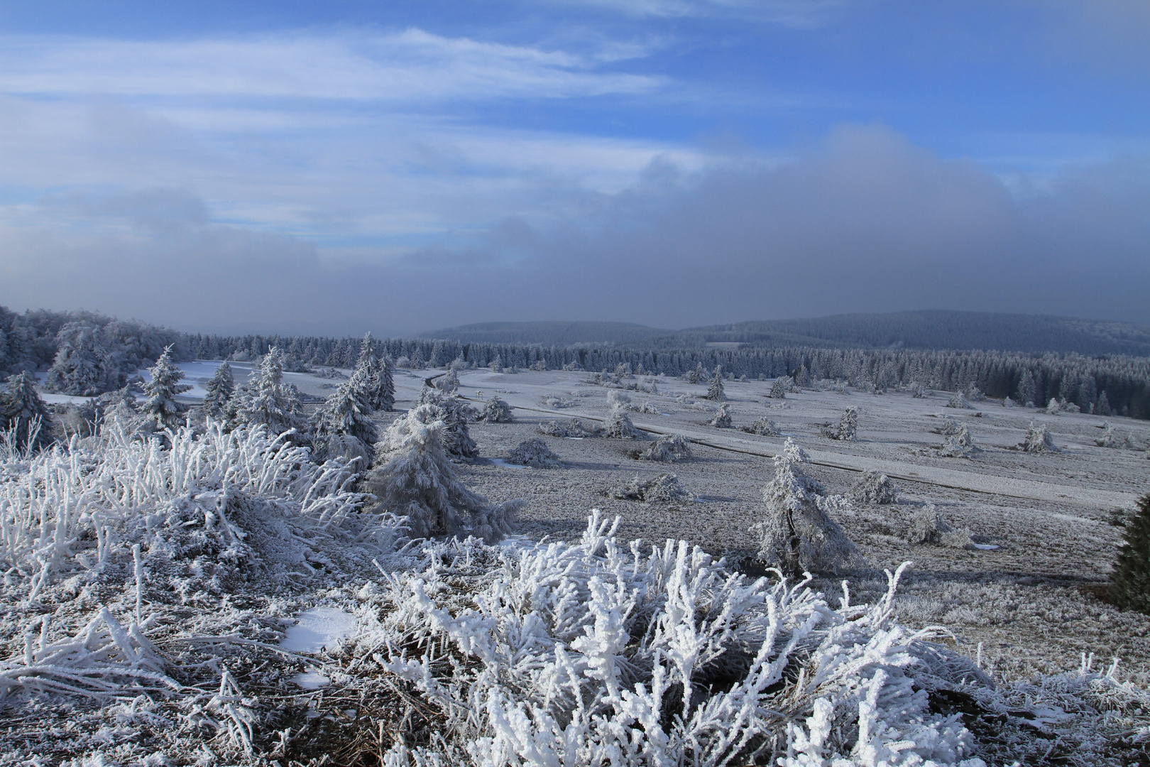 Fostige Landschaft auf der Hochheide