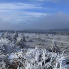 Fostige Landschaft auf der Hochheide