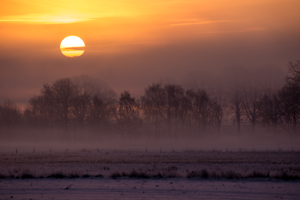 Fostiger, nebliger Sonnenaufgang