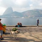 Foto 369 - Rio de Janeiro - Pão de Açúcar