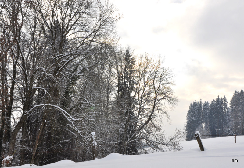 Foto aus der Schneewehe