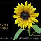 Foto-Ausstellung: Grüße von Ushie aus der Bretagne