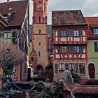 Foto -Challenge User Treff Schwetzingen 4