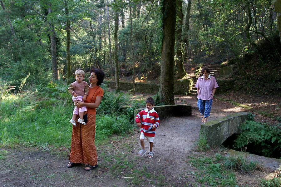 Foto de familia