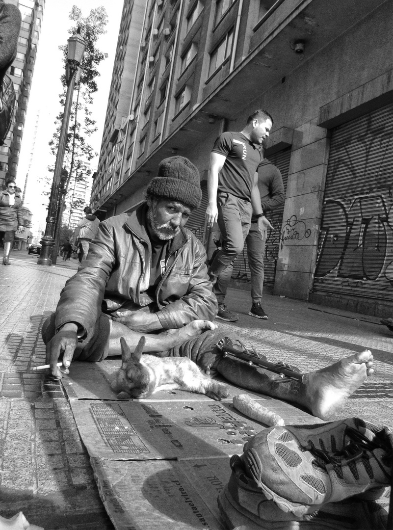 Foto De Un Hombre y El Conejo Que Lo Acompaña