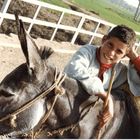 Foto di mio padre: Egitto, 1983