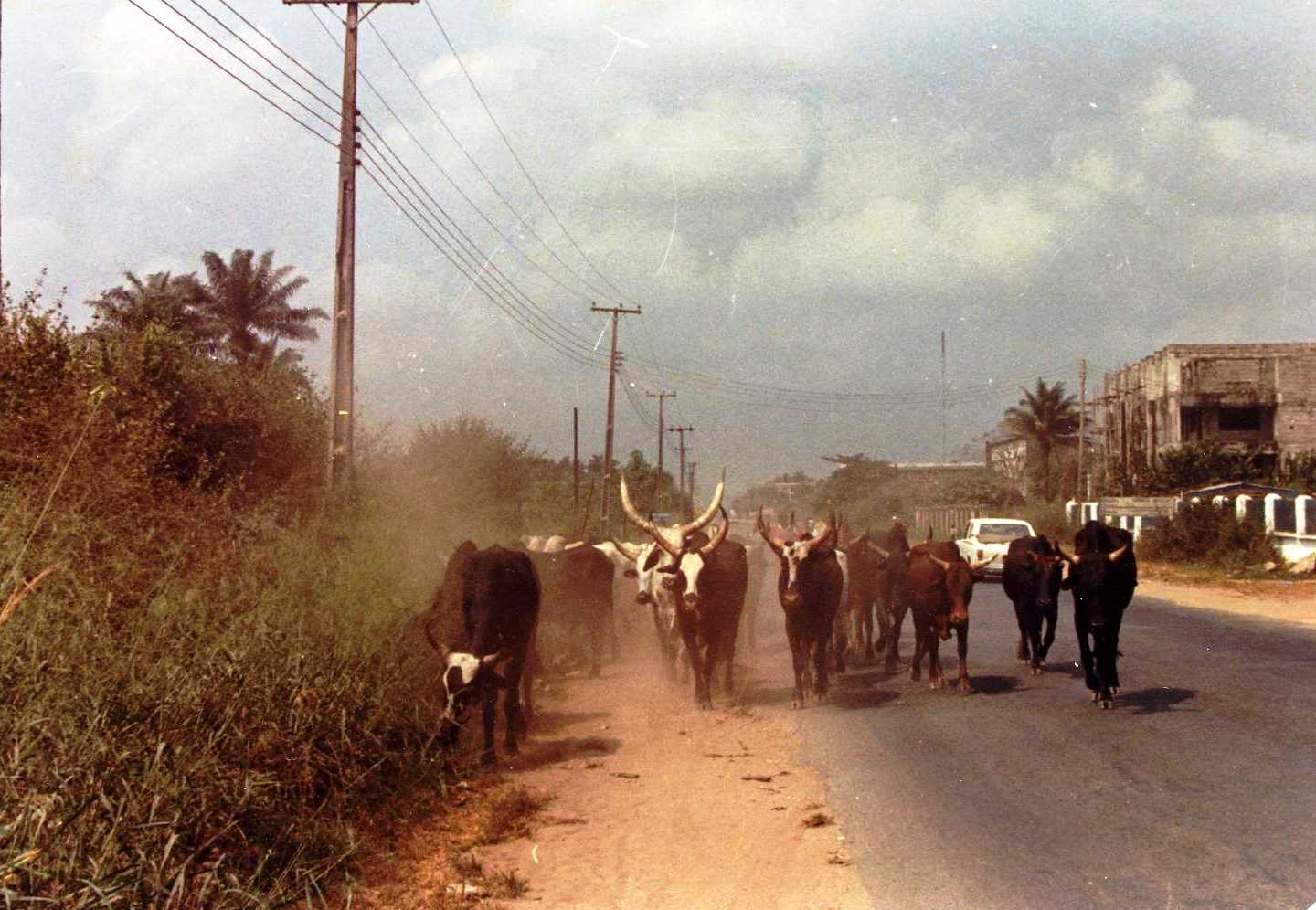 Foto di mio padre: Nigeria, 1982_2