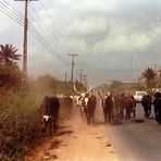 Foto di mio padre: Nigeria, 1982_2