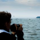 Foto-Expedition zur Insel Ruden
