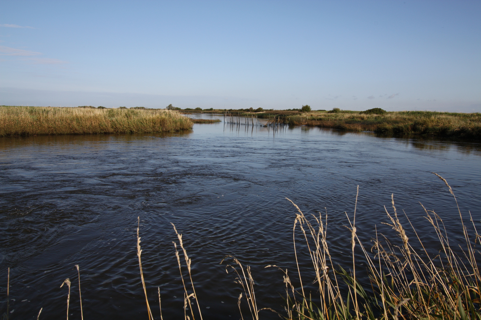 Foto Fluss und Land