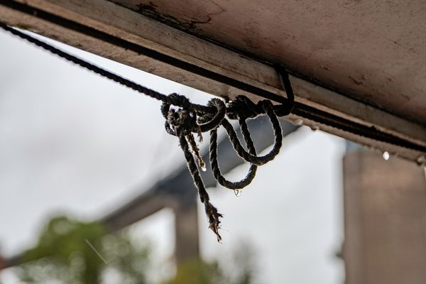 foto geht auch bei Regen