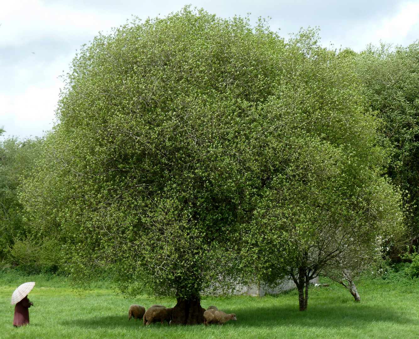 Foto-Gemälde