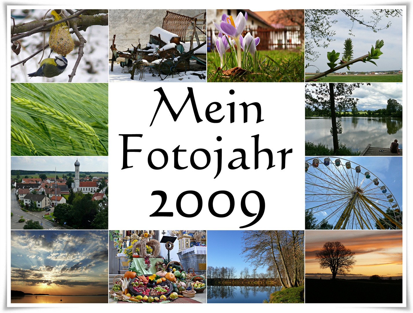 Foto-Jahr 2009