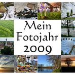 Foto-Jahr 2009