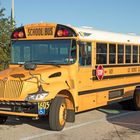 Foto, SCHOOL BUS, Cape Coral, Florida