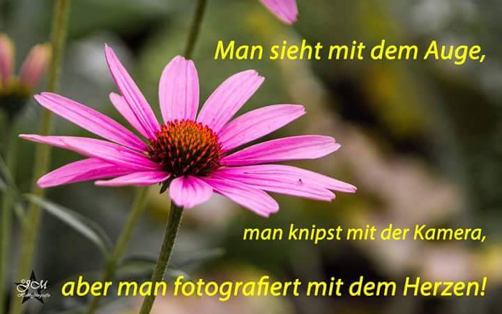 Foto und Spruch