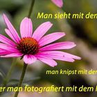 Foto und Spruch